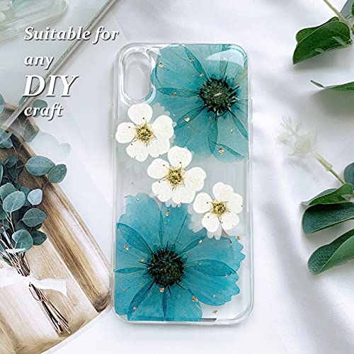 Flores secas prensadas para resina, 60 piezas blancas naturales miniatura 4