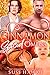Cinnamon Spiced Omega: An M/M Omegaverse Mpreg Romance (The Hollydale Omegas Book 2)
