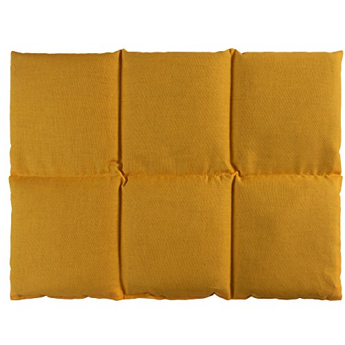 Coussin aux noyaux de cerises 40x30 cm pour soulager le dos avec motif mangue