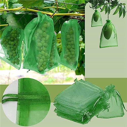 Egurs Grape Protective Bags 20 x 30 cm Green Organza Bags with Drawstring Organza Bag Grape Protection Bag Garden Mesh Bag Drawstring for Protection Against Birds Green Pack of 100 - Image 2