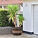 Quarut Large Plastic 3 Pack16 inch Plant Pots,Whiskey Barrel Planters with Drainage Holes & Saucer.Flower Pots Imitation Wine Barrel Design for Indoor & Outdoor Garden Balcony Plants.7 Gallons(Brown)