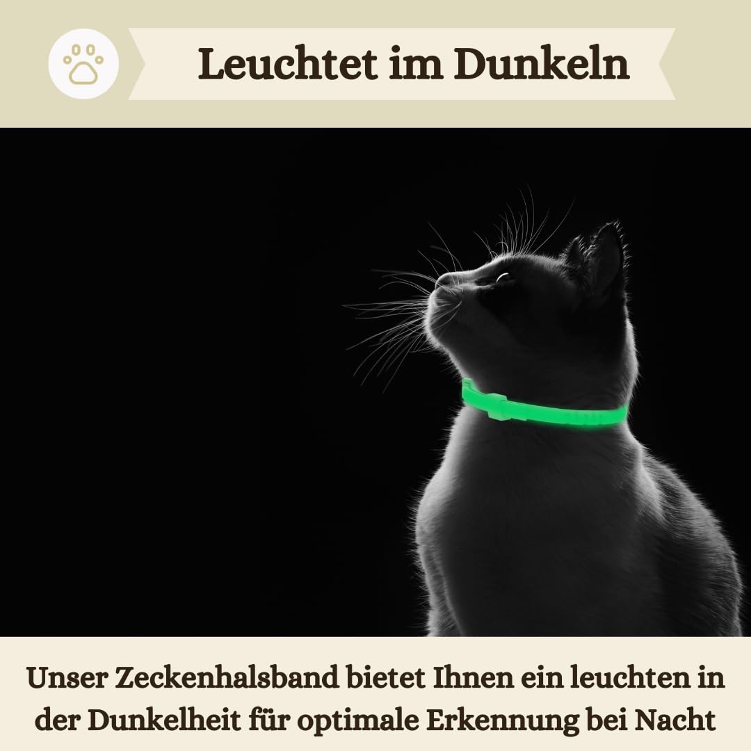 biothane halsbnder Zugstopp-Halsband Hund aus BioThane