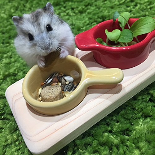 Amazon.co.jp: ハッピーホリデイ ハムスター用食器＆テーブル ハムズ