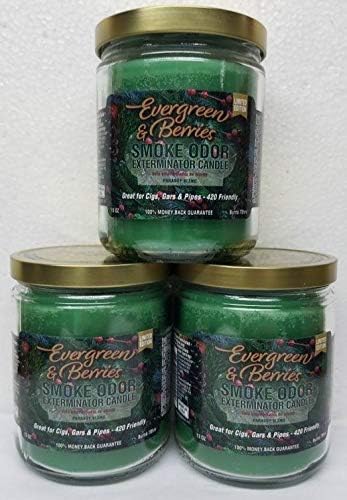 Smoke Odor Exterminator 13oz Jar Candles (Evergreen & Berries, 3)