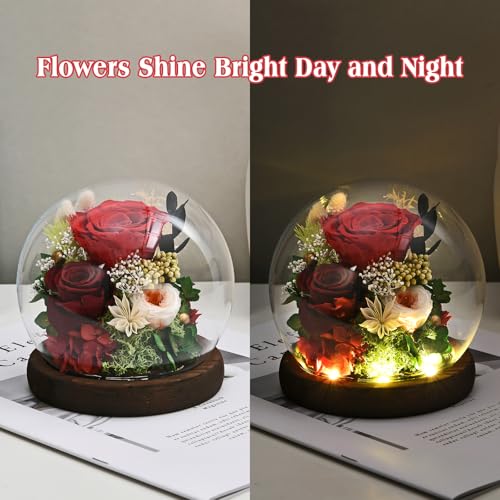 Gifts-for-Women-Rose-Fresh-Flowers-in-Glass-Dome-with-LED-Light-Real-Roses-Gifts-for-Wife-Sister-Girlfriend-on-Mother-Day-Birthday-Valentine-Day-red