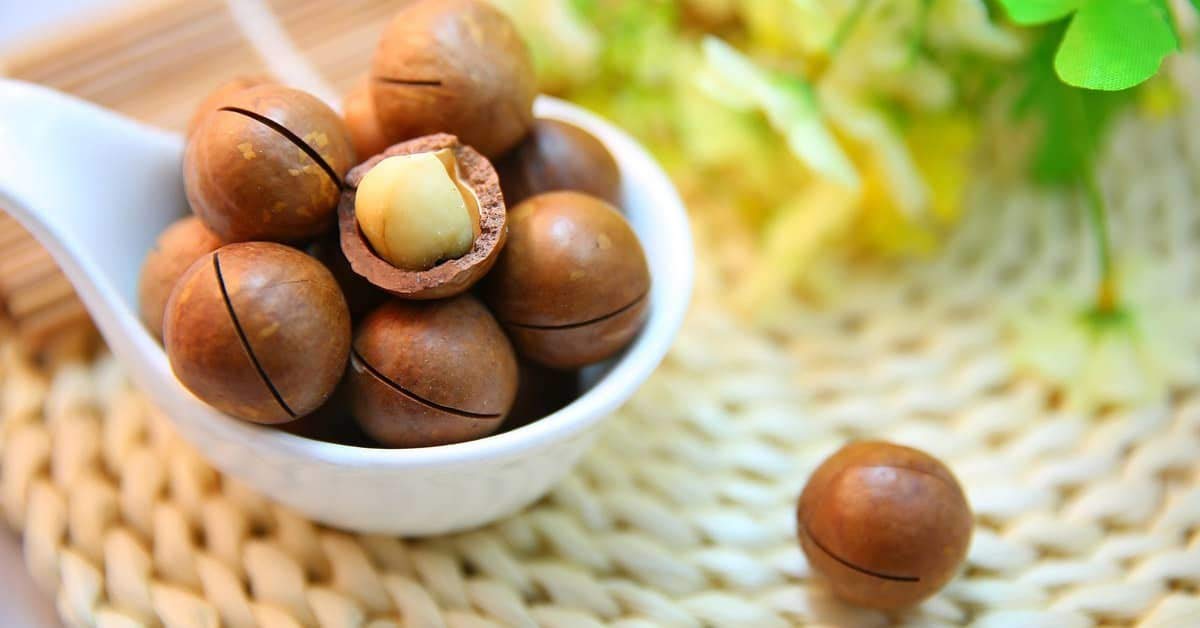ZIG - HORECA - Noci Macadamia sgusciate 1 Kg