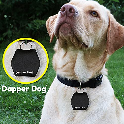 Image of Dapper Dog - Dog Tag Silencer with Tag Ring (Black)