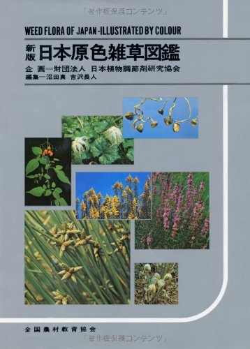 原色 創出 地域資源活用価値創出対策 農山漁村振興交付金 令和7年度