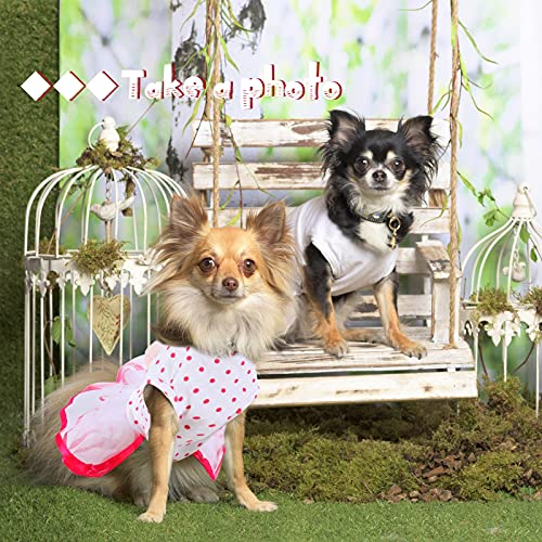 GINDOOR 2 Pieces Girl Dog Clothes - Adorable Tutu Dog Dresses Cherry & Sun Flower Printed Puppy Dog Princess Dresses Pet… - Image 6