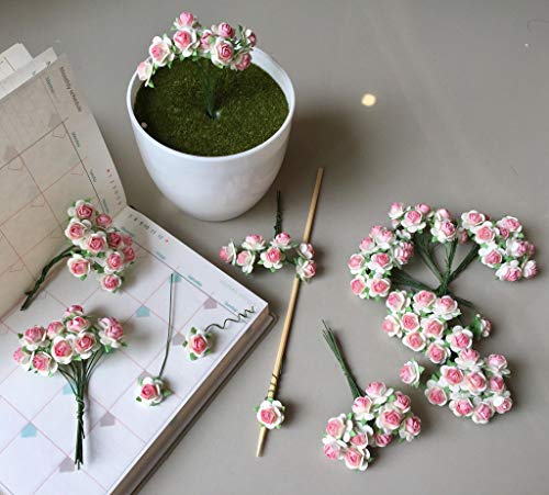 100 Pcs Mini Roses White Color 15 Mm Mini Paper Flowers Mulberry Paper Flowers Scrapbooking Embellishment Wedding Card Supplies Mini Paper Roses White (Pink Blush) #TOP1
