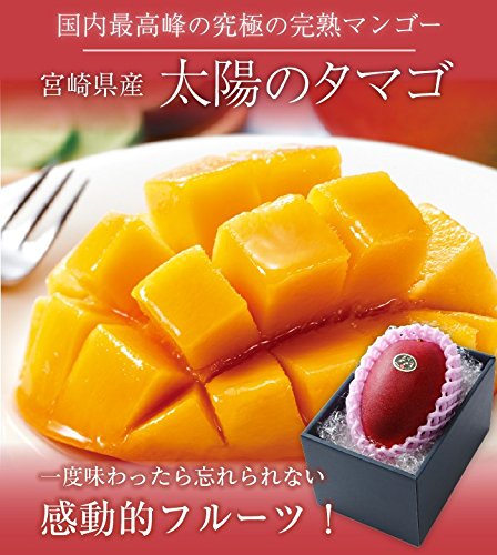 Amazon.co.jp: マンゴー 太陽のタマゴ 青秀 4L 500g以上×2玉 JA