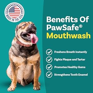 Dogmouthwashdentalwateradditiveforfreshbreathplaquetartarcontrolbestnaturalcleaningfreshenerformulaforhealthyteethgumsadvancedeasytouseoralcaresolution Urban Country Home Decor Dog mouthwash dental water additive for fresh breath plaque tartar control best natural cleaning freshener formula for healthy teeth gums advanced easy to use oral care solution urban country home decor