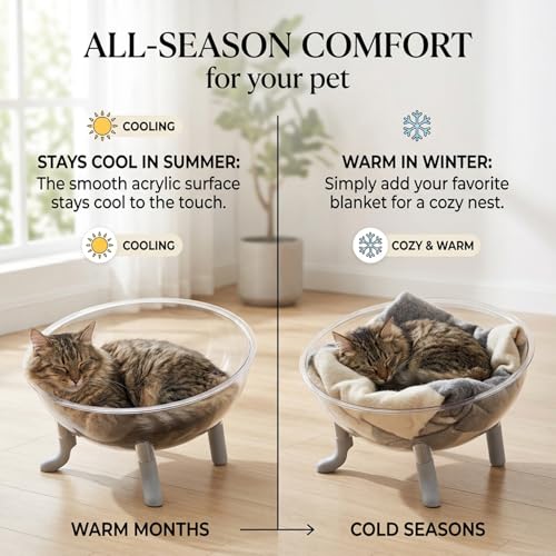 Lit pour chat surélevé gris moderne avec capsule dôme transparent pour son bien-être - 3