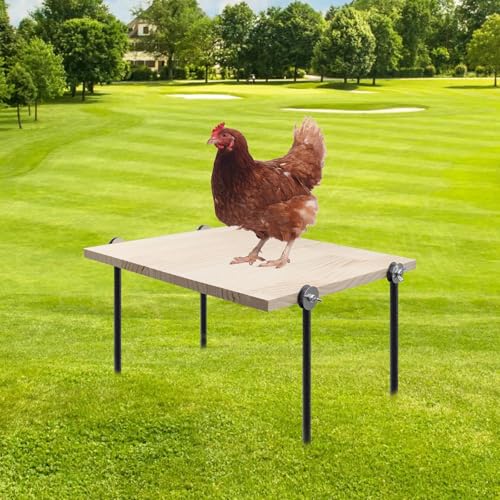Image of Chicken Perch Toy for Coop, Wooden Chick Roosting Bar with Metal Ground Plug, Coop Accessories for Poultry Rooster Hen Chicks Large Bird Parrot
