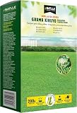 Semillas Batlle Semillas de Césped - Grama Kikuyo - 200g (Paquete de 5)