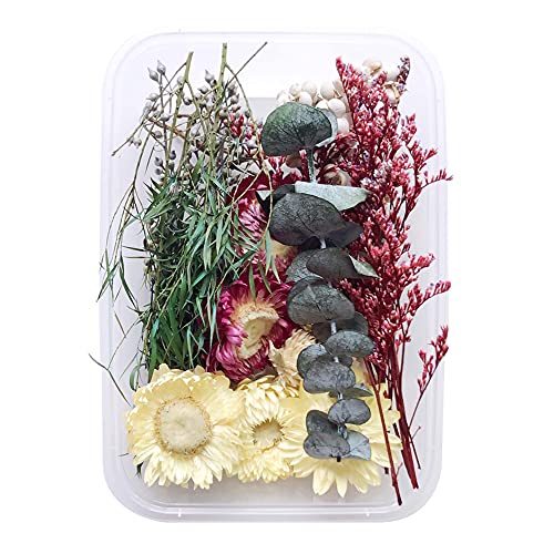 Uposao Natürliche Getrocknete Blumen, DIY Gepresste Blumen Gemischte Getrocknete Blätter Blumen Set für Epoxidharz Deko,Kunst Basteln DIY Harz Scrapbooking Handwerk Karten Machen Zimmer Tischdeko Cover