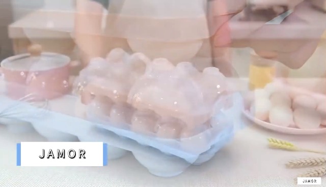 Boîte de rangement à œufs - HURRISE - Empilable - Plastique - Couvercle Boîte de rangement à œufs - HURRISE - Empilable - Plastique - Couvercle