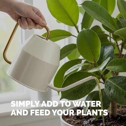 Fertilizante Líquido para Árbol de Ficus 8 oz miniatura 5