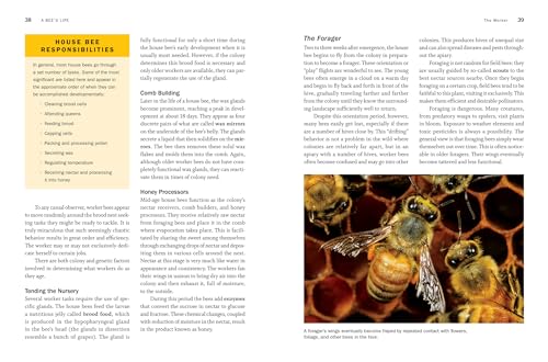 Storey Publishing, Llc FULL COLOUR PHOTOGRAPHS AND ILLUSTRATION Storey'S Guide To Keeping Honey Bees thumb #2