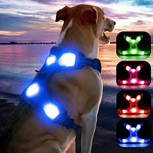 YFbrite Light up Dog Harness - USB Rechargeable LED Dog Harness with Reflective Strips Comfortable Adjustable Sizes (Blue Medium)