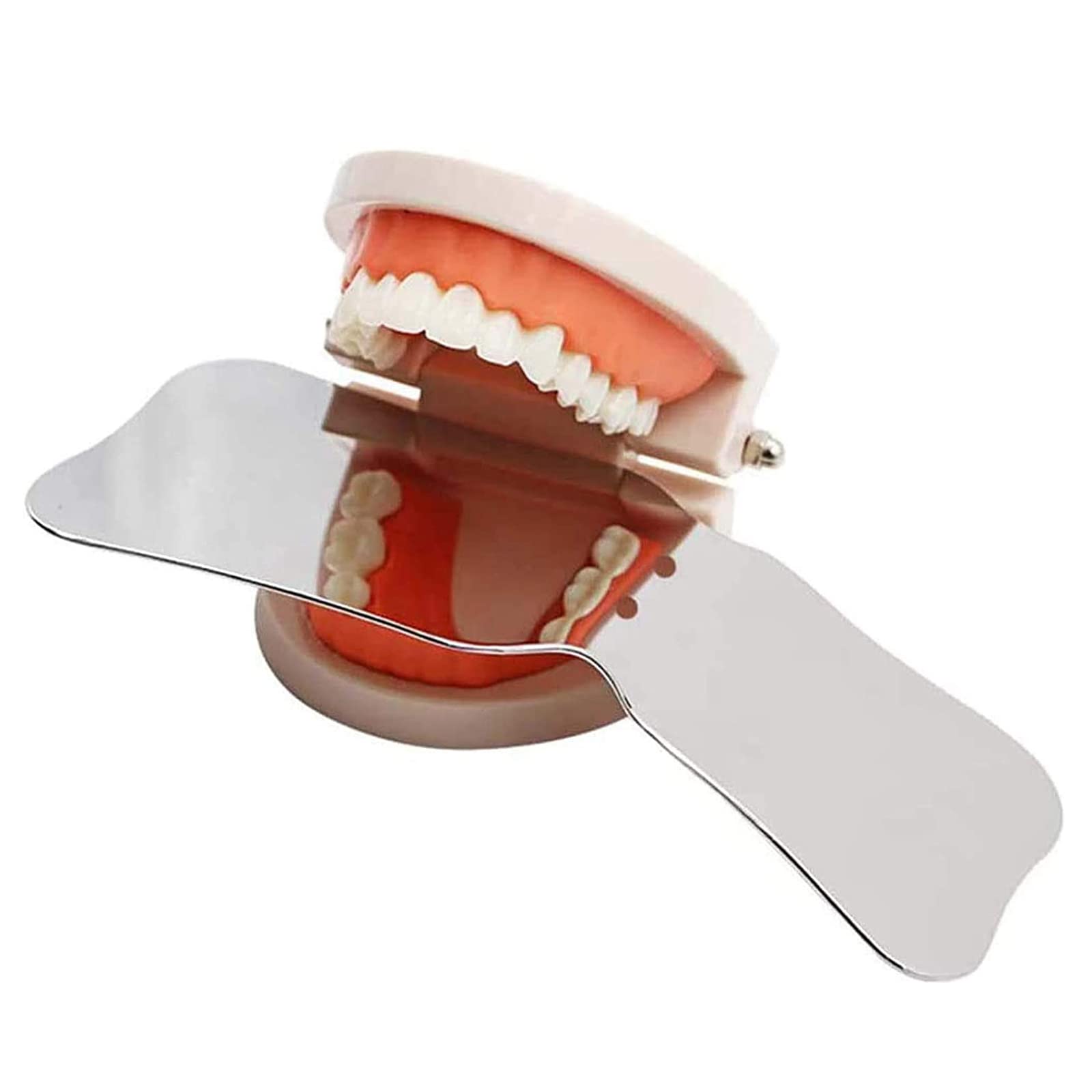 Espejos de Fotografía de Acero Inoxidable, Reflector Intraoral de Ortodoncia de Doble Cara