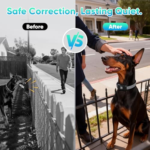 Dog Bark Collar for Large Medium Small Dogs, Effective No-Bark Collar, Smart Barking Collar, Rechargeable Bark Collar with 7 Sensitivity, 3 Modes, IP67 Waterproof, Black, 2 Pack - Image 3
