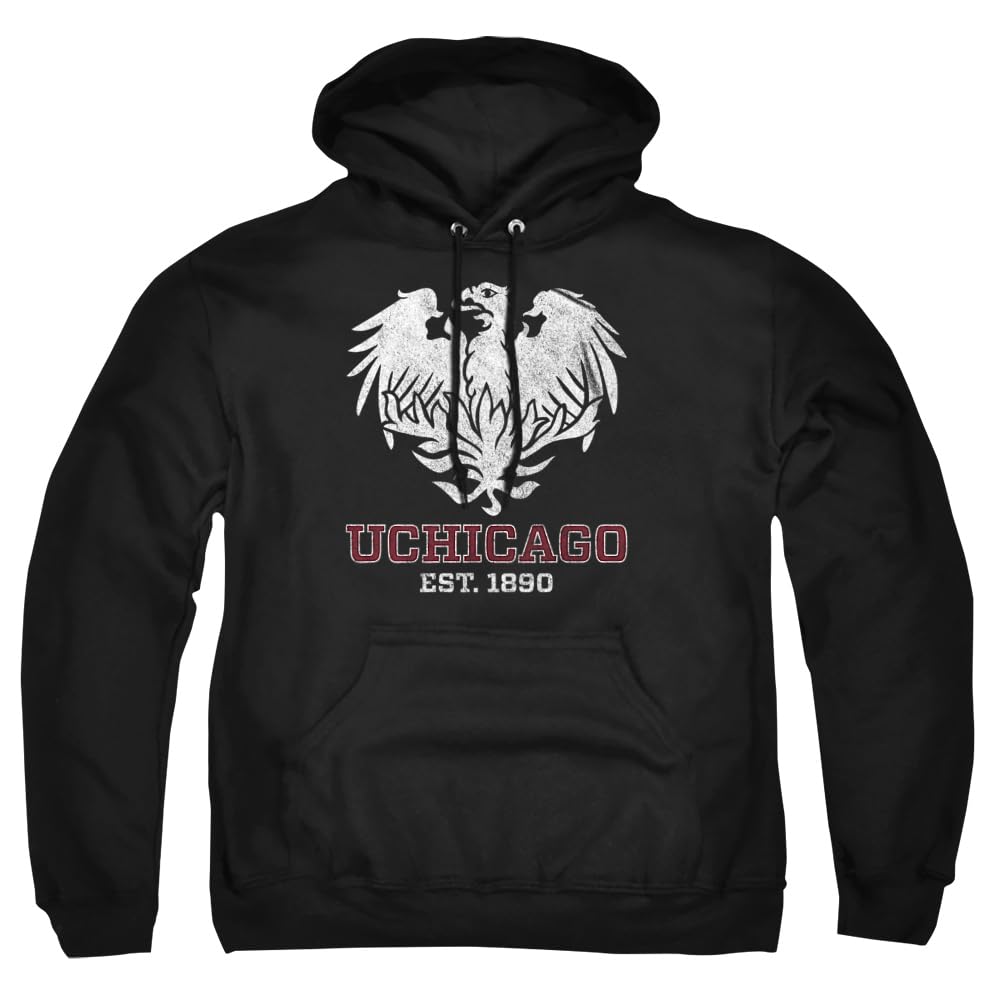 LOGOVISION Official Collegiate Distressed Primary Logo Adult Pullover Hoodie Collection — view 321