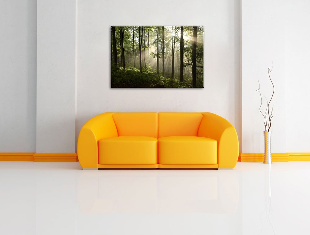 Pixxprint Sonnenstrahlen im Wald, Größe: 120x80cm, Leinwandbild, fertig gespannt, Wandbild, Dekoration, Kunstdruck, kein Poster