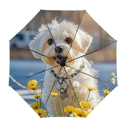 Best maltese umbrellas Maltese Dog Printed Compact Folding Umbrella