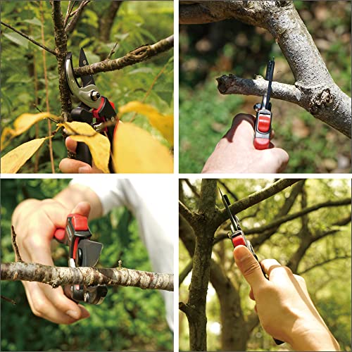 Tijeras de podar anvil ajustables Eden 39000 para jardín miniatura 6