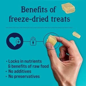   Stewart-Freeze-Dried-Dog-Treats-Chicken-Breast-3-oz-Grain-Free-Gluten-Free-Resealable-Pouch-Single-Ingredient-training-treat-in-Beef-Liver-Salmon-Chicken-Liver-Chicken-Breast-4-14-21-oz