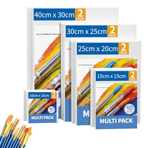 Catálogo para Comprar On-line Lienzos preestirados - los preferidos. 50 Lienzo Tensado para Pintar, Paquete de 10 Lienzos de Diferentes Tamaños 40 x 30, 30 x 25, 25 x 20, 15 x 15 y 10 x 10 cm (2 de cada uno) para Pintar, Lienzos para Pintura Acrílica...