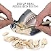 NATIONAL GEOGRAPHIC Shark Tooth Dig Kit, Excavate 3 Real Shark Fossils Including Sand Tiger, Otodus and Crow Shark - Great Science Gift for Marine Biology Enthusiasts of Any Age