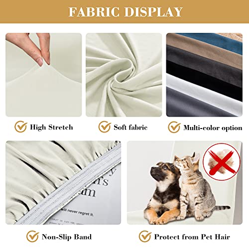 Jin Le Dining Chair Covers Set Of 2 Beige, Xl/Oversized Stretch Parson Chair Slipcover Chair Covers For Dining Room Protector Cover Washable Kitchen Chair Cover For Hotel, Wedding, Banquet, Restaurant #TOP6