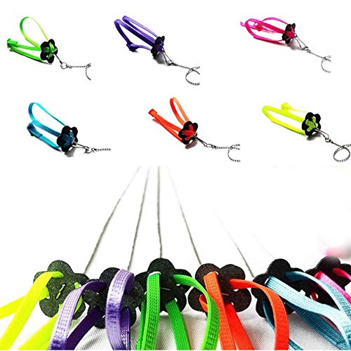 Wood.L The Pet Bird Harness and Leash Adjustable Traction Strap Harness Leash for Bird Parrot:Random Color