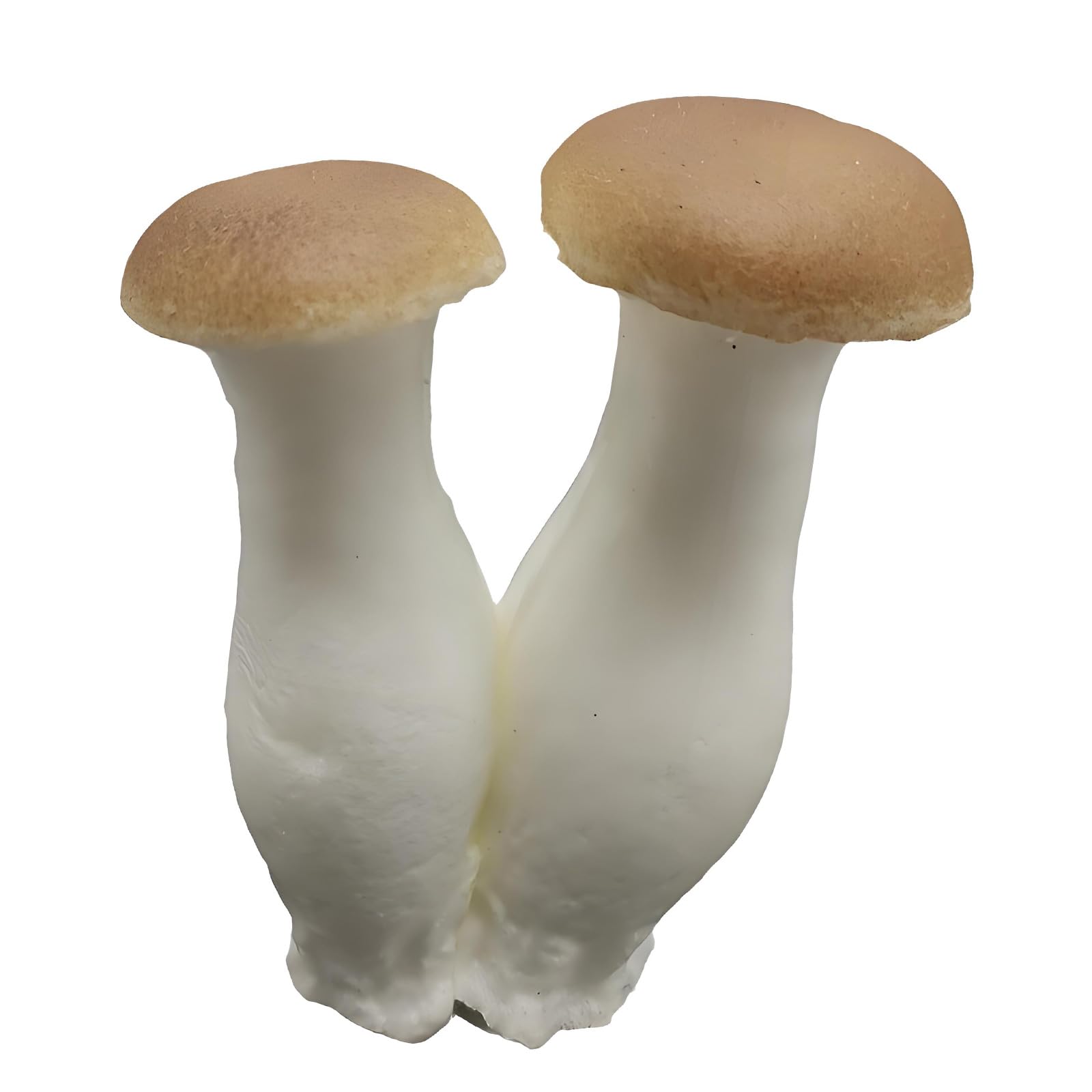 Kaeltsyn Realistic Simulation Vegetable Artificial White Mushroom Decorative Props for Restaurant Cafes Photography Simulation Mushroom Model