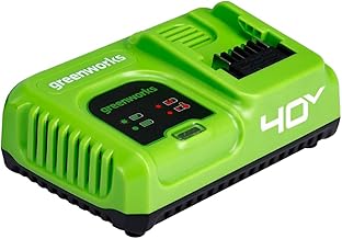 Chargeur de batterie Greenworks G40UC5 (Li-Ion 40V, 5A, 30 minutes de charge pour 2Ah (50 minutes pour 4Ah) convient à toutes les batteries de la série 40V Greenworks Tools)