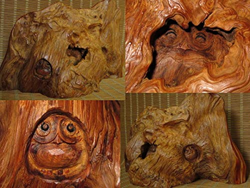 Amazon.co.jp: 屋久杉工芸品 フクロウ置物 山中良行作 自然木 天然木
