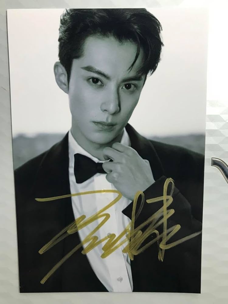 成毅、王一博、肖戦、王鶴棣直筆サインチェキ専用ページ 成毅、王一博、肖戦、王鶴棣直筆サインチェキ専用ページ 陳情令