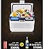Produktbild SHISHANG DC 12v Auto tragbaren Kühlschrank mit Gefrierfach Kühlschrank, Hause und Auto Dual-Use (220V/12V), Lagerung und Konservierung