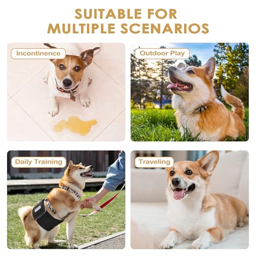 Image of 5 Pack Dog Diapers Male Reusable Belly Bands Washable for Large Male Dogs, High Absorbency for Puppy & Doggy, Size XXL
