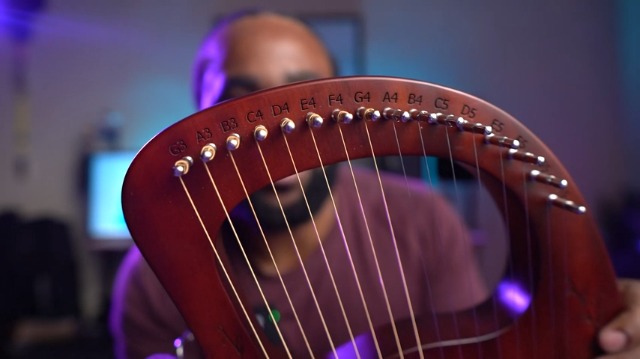 Amazon.com: VixxNoxx Lyre Harp, 16-String Mahogany Lyra Harp Kit