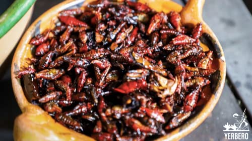 Yerbero - Fresh Chapulines Sabor Natural From Oaxaca 3.5oz (100gr) | All Natural Toasted Grasshoppers With Lime, Sea Salt and Garlic | Always Fresh (Not Dehydrated) Delicious, Healthy Exotic Mexican Snack. Imported From Mexico - Image 5