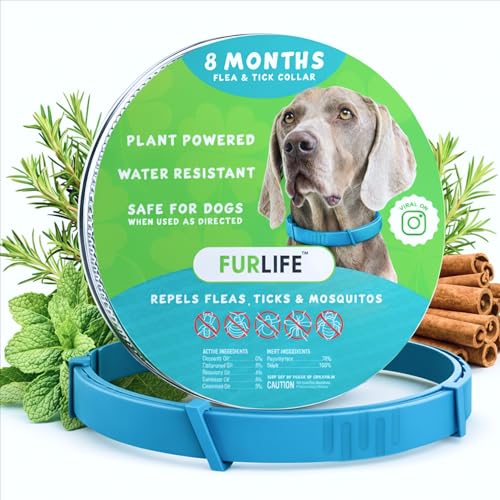 FurLife Blue Flea and Tick Collar