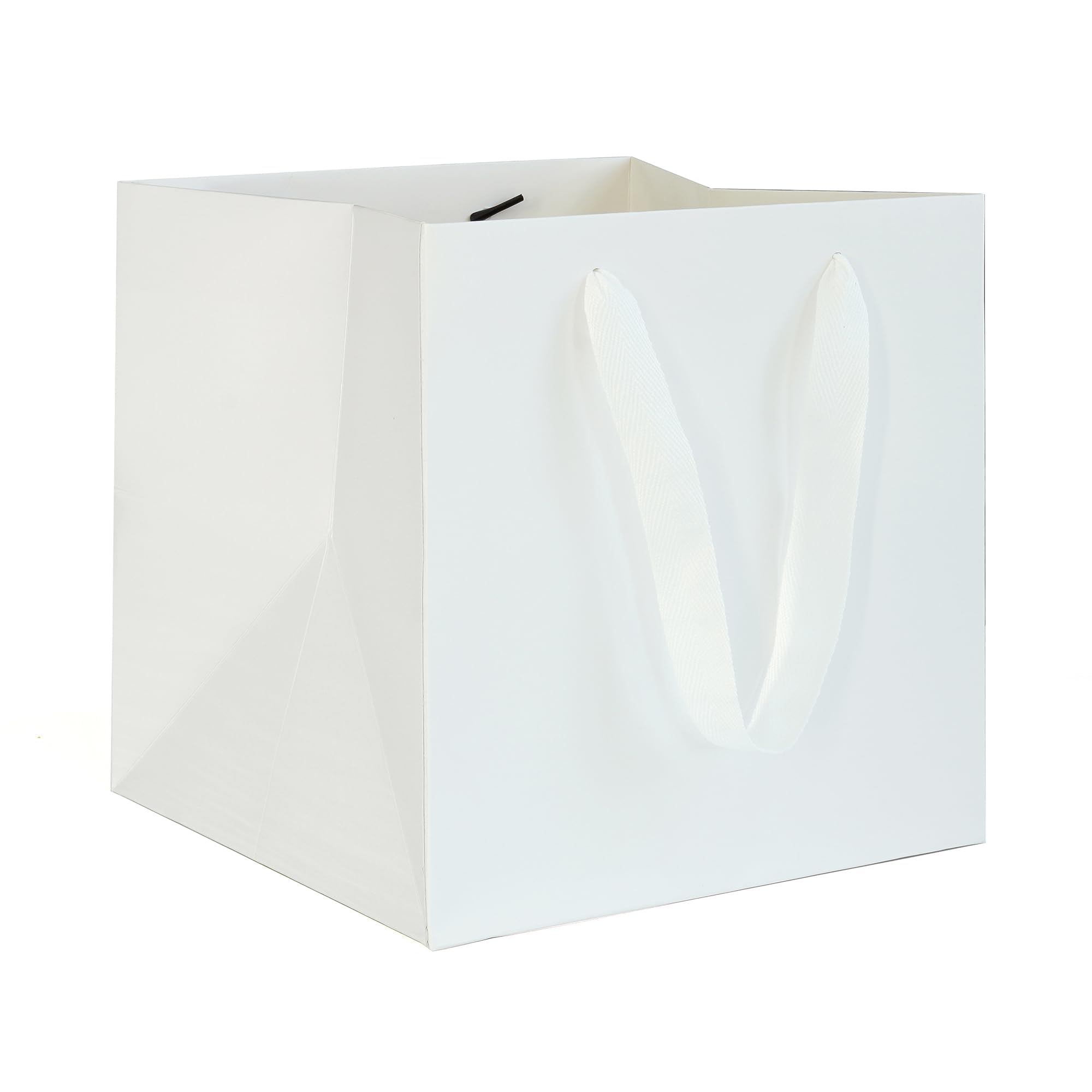 AZOWA White Paper Gift Bag Medium Square Gift Bags with Handle Party Gift Paper Bags (25 x 25 x 25 cm, 2 Pieces)