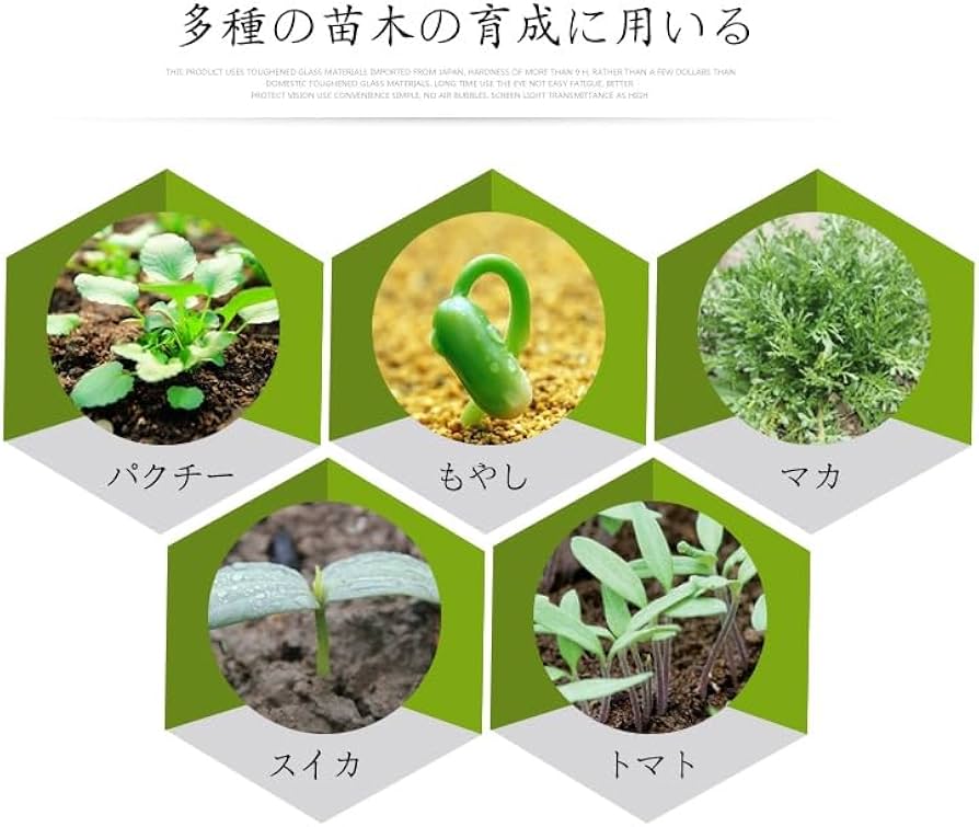 Amazon.co.jp: 育苗ポット 育苗トレー 育苗コンテナ 育苗トレイ育苗箱