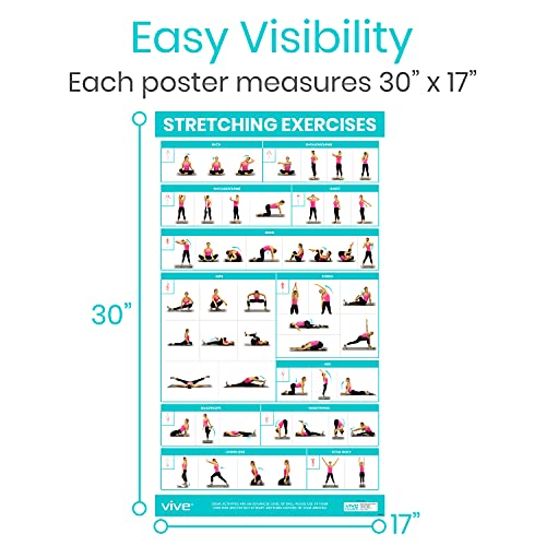 image for Vive Workout Posters for Home Gym (3 Pack) - Bodyweight, Yoga Poses, S