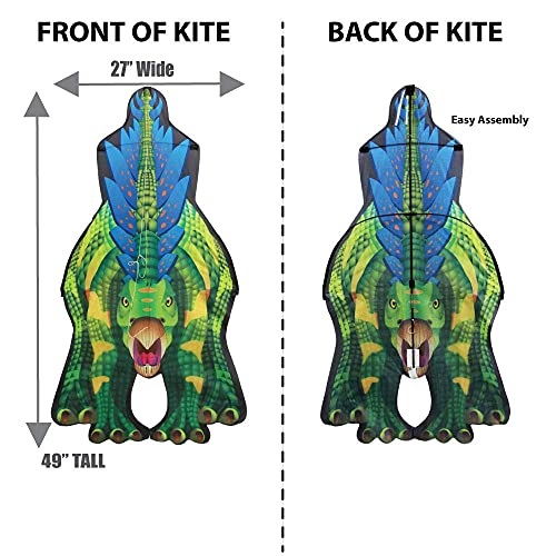 Windnsun Dinosoars Stegosaurus Rip-Stop Nylon Kite, 49 Inches Tall #TOP2