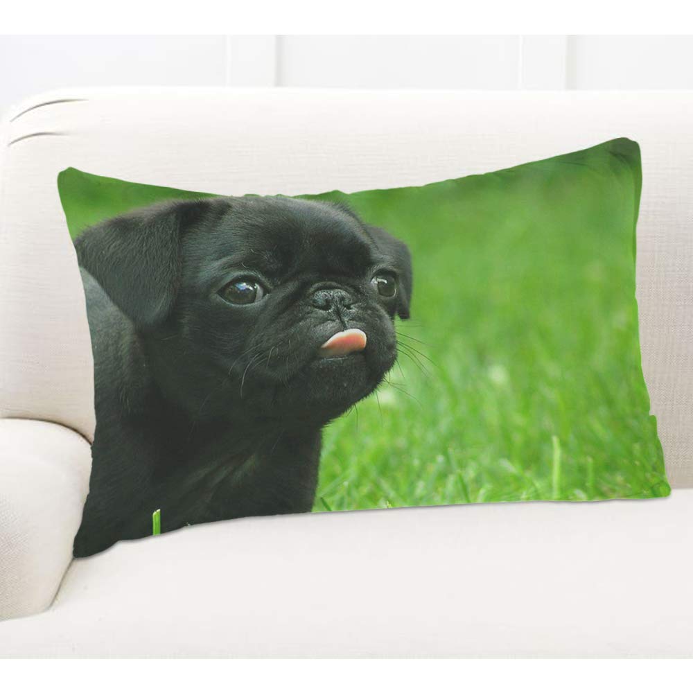 Amazon.co.jp: EKOBLA クッションカバー かわいいパグ犬 動物 黒