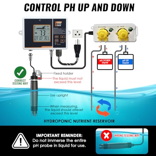 View 4